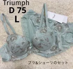トリンプ D75 Lサイズ　グリーン　美胸 イエローブラジャーショーツセットのサムネイル