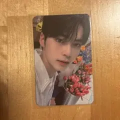 zb1 ゼベワン　ハンビン　オリヤン　oliveyoung トレカ