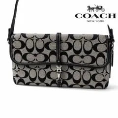 Coach Signature Demi Clip Pouch Black
