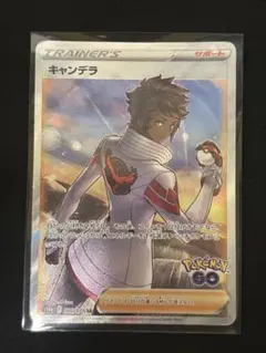 ポケモンガード