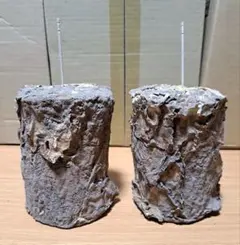 Item thumbnail for item 443f4437-951e-482e-950f-c1e2b686985a