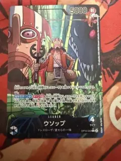 portgas.d.ace.812様 リクエスト 2点 まとめ商品