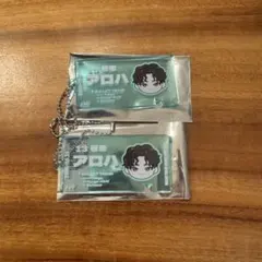 超特急 アロハ EVE ランダム チケットキーホルダー