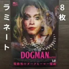 映画　DOGMAN ドッグマン　ラミネート+　チラシ　フライヤー　８枚