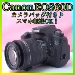 ✨️Canon EOS 60D✨️本格撮影に❤️ハイアマチュアモデル 届いてすぐ