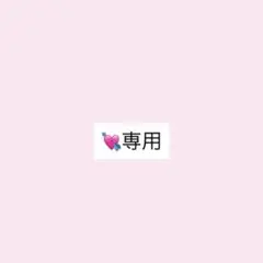 専用