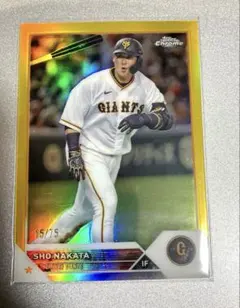 Item thumbnail for item acf69a8f-21de-40f6-878f-cd3f66299d66