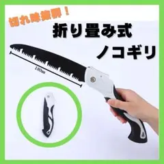 Item thumbnail for item 6e6ea2d8-61f2-4310-89a8-6218f13d6d59