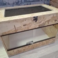 2026年最新】リクガメケージの人気アイテム - メルカリ