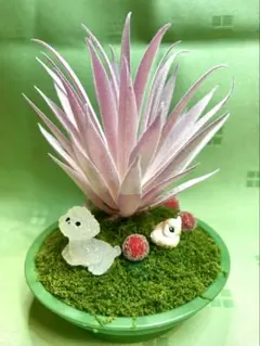 ピンクエアプランツと動物フィギュアの置物