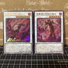 黒薔薇と荊棘の魔女 黒薔薇の破滅竜 2枚 遊戯】黒薔薇と荊棘の魔女【スーパー/☆6】DOOD-JP040 - C-labo