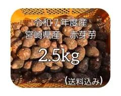 2025年最新】里芋 品種の人気アイテム - メルカリ