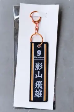 ハイキュー タイトーくじ G賞 フライトタグ 影山飛雄