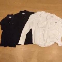 LACOSTE　日本Lサイズ　シャツ＆ポロシャツ4点セット