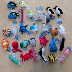 Item thumbnail for item 6177fd82-4ab2-4d4e-ac70-8abd4f1ad837