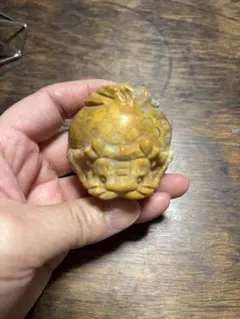 ロングイ　フォッシャルコーラル