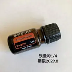 2026年最新】ﾄﾞﾃﾗの人気アイテム - メルカリ