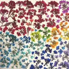 Item thumbnail for item bfb82945-0d36-45b3-824f-1557ef2692de