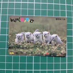 地鐵卡-204
