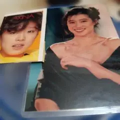 Item thumbnail for item 1d4c2618-2a4c-4278-9216-dc0d310d924b