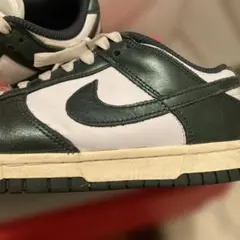 Item thumbnail for item 1ac40141-e985-456b-8e1c-6bd201409963