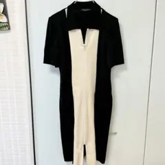 Item thumbnail for item 628f03c9-0eac-431b-b3a0-f8c90a0d4851