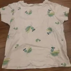INSECT COLLECTION カマキリ柄 Tシャツ