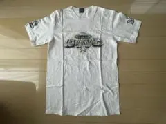 Item thumbnail for item 5c8ad6ec-ec13-4ee3-ad4e-9acb7a2bd972