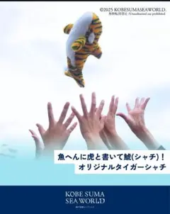 須磨シーワールド限定　オリジナルタイガーシャチ　ぬいぐるみ