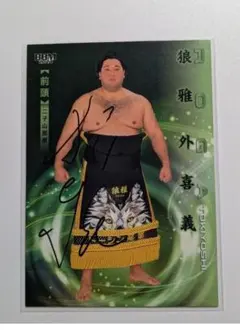 Item thumbnail for item df7da171-dab8-44d0-a4cb-6505aef8616c