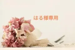 はる様 リクエスト 2点 まとめ商品