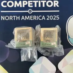 呪術廻戦 るかっぷ ミニチュアコレクション 伏黒恵 2個セット