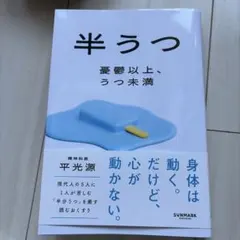 半うつ 平光源 SUNMARK