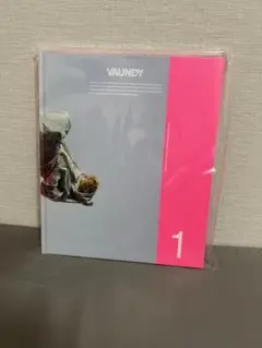 Vaundy VAWS premium photo book