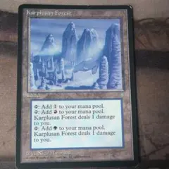 MTG カープルーザンの森/Karplusan Forest 英語版 4枚まとめ - メルカリ