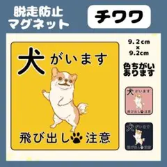 【チワワ】マグネット　飛び出し注意　犬がいます　玄関　注意　脱走防止