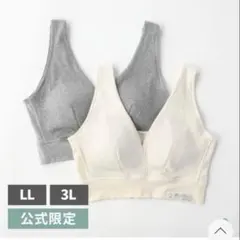 hinna　ヒンナ オーガニックコットンブラ LLサイズ