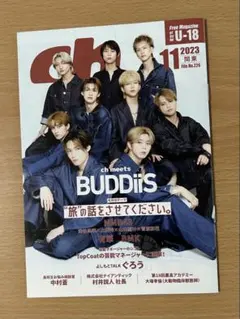 BUDDiiSのミニ雑誌
