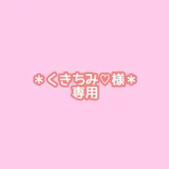 くきちみ♡様専用＊