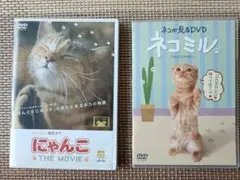 (=^・^=)にゃんこ THE MOVIE & ネコミル DVD