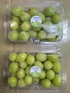 即発送可 長野県産シャインマスカット 訳あり 粒パック 約350g×2パック　1のサムネイル