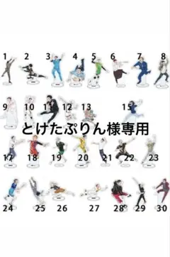 とけたぷりん様専用