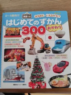 はじめてのずかん 300
