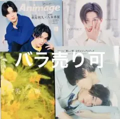 美しい彼パンフレットアニメージュ6月号公式ビジュアルブック 八木勇征1st写真集