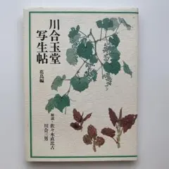 戦前 古書 植物学 薬草 草木図説 牧野富太郎 3冊 Vintage 原色野外植物圖譜③ 昭和8年 牧野富太郎著 戦前 戦時中 古書