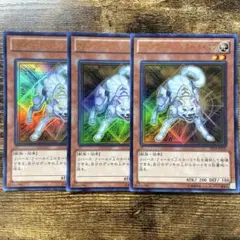 遊戯王　ライトロードハンターライコウ　ウルトラ　3枚　W5