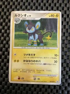 ポケモンカード ルクシオ Lv.19 PROMO 049/DP-P