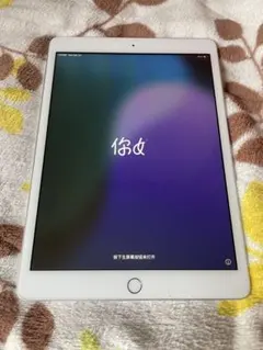 ち*♪様 iPad 第7世代 32GB シルバー Wi-Fi 動作良好300円ス