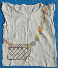 インセクトコレクションM 100110オーガニックコットン てんとう虫 Tシャツ