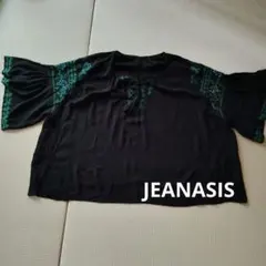 JEANASIS 刺繍入り 半袖ブラウス ブラックのサムネイル